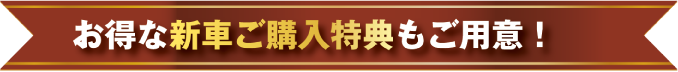お得な新車ご購入特典もご用意！